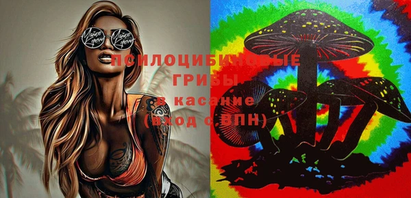 ешки Верея