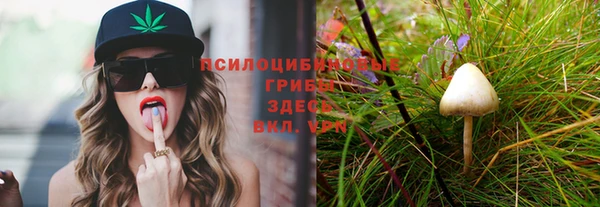 ешки Верея
