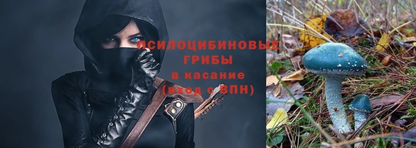 мдпв Покровск