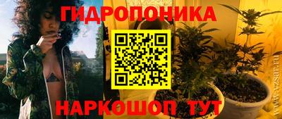 соль ск Гагарин