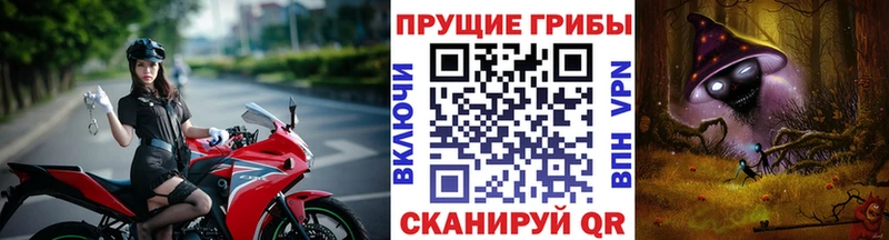 наркотики  Тобольск  это клад  Галлюциногенные грибы MAGIC MUSHROOMS 