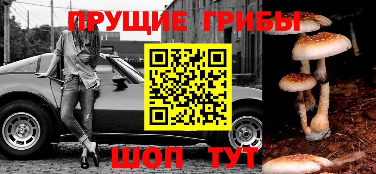 Галлюциногенные грибы ЛСД Тобольск