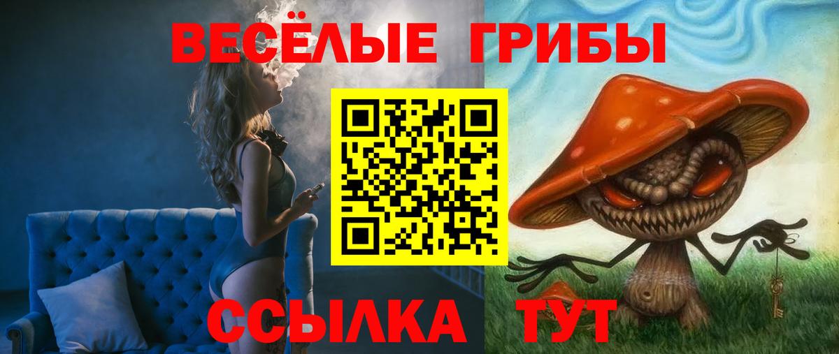 как найти   Псилоцибиновые грибы Cubensis  Вход с VPN  Тобольск 